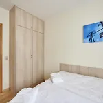 Seemuschel - 8 *