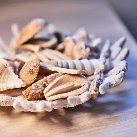 Haus Seemuschel - 8 Cuxhaven