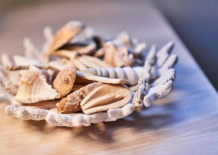 Seemuschel - 8 Cuxhaven